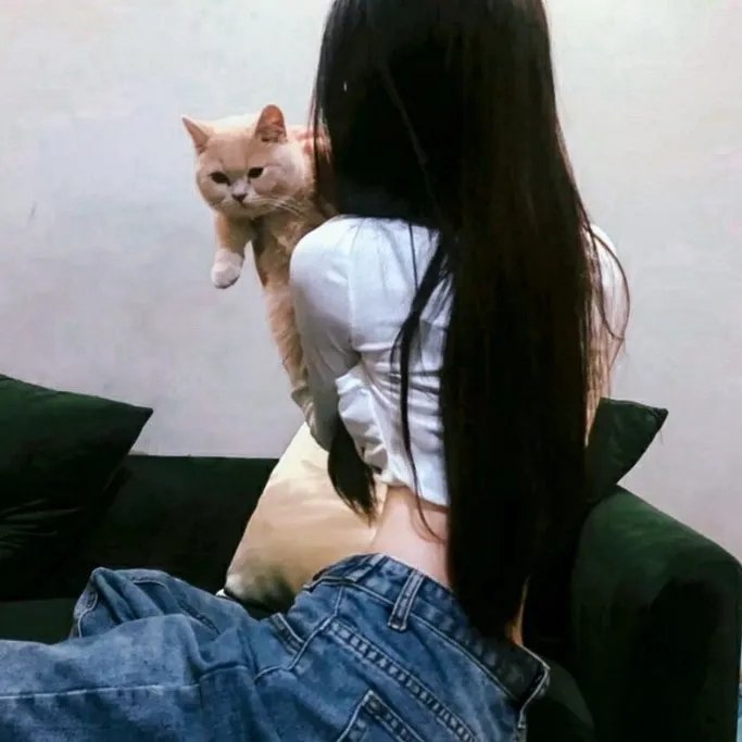 美丽的凯特 海报